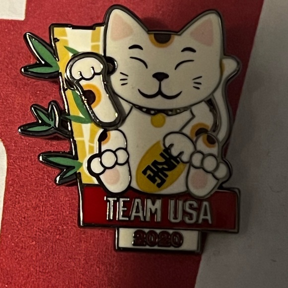Set of 10 Team USA pins from various sports and games. Excellent condition. - Picture 6 of 11